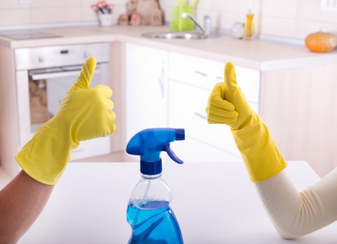 Close-up view of deep carpet cleaning equipment removing dirt and stains