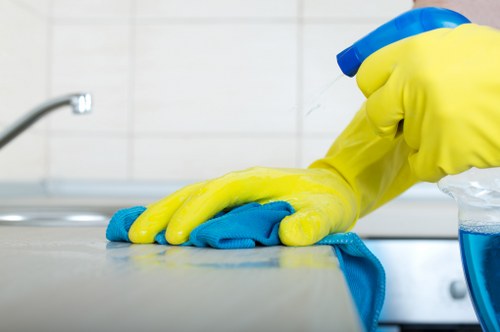 Commitment to inclusive Hornchurch Carpet Cleaners website access