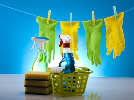Review of carpet cleaning issue details during complaint handling
