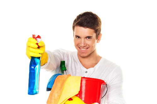 Deep cleaning treatment for pet odour removal