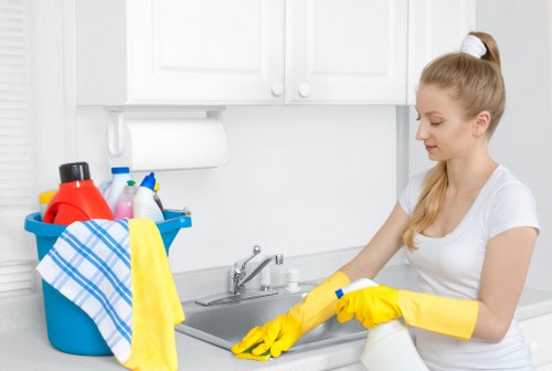 Inspection of a carpet cleaning concern during investigation